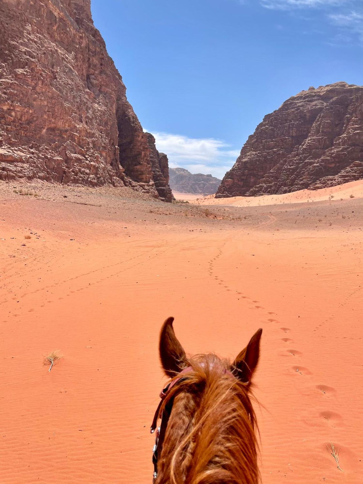 Hotel Salameh'S Bedouin Camp Wadi Rum Exterior foto