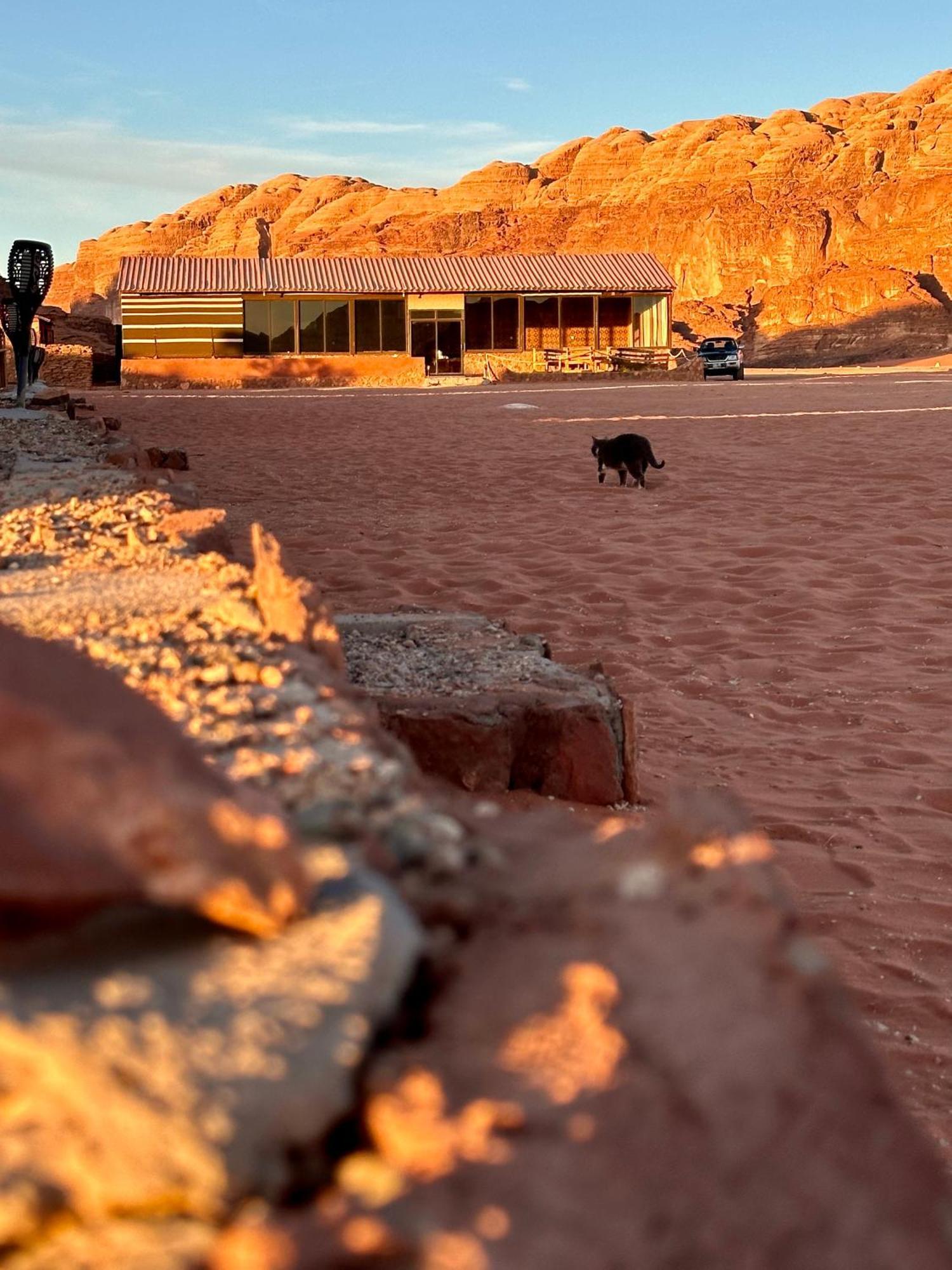 Hotel Salameh'S Bedouin Camp Wadi Rum Exterior foto